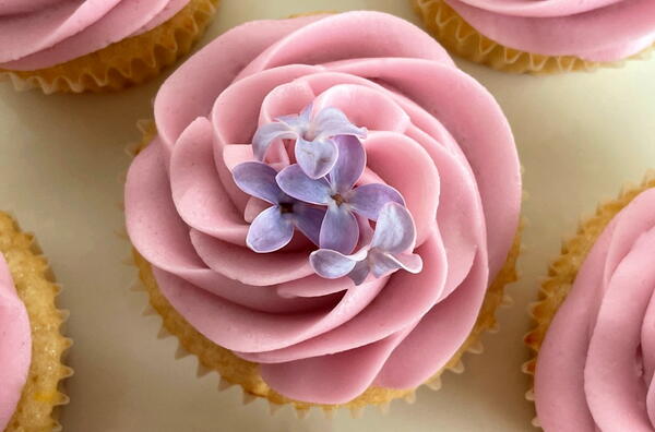 Lilac Cupcakes With Lilac Buttercream Frosting Lilac Cupcakes With Lilac Buttercream Frosting