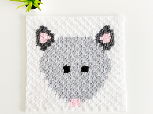 C2c Opossum C2c Opossum