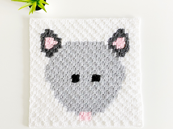 C2c Opossum C2c Opossum