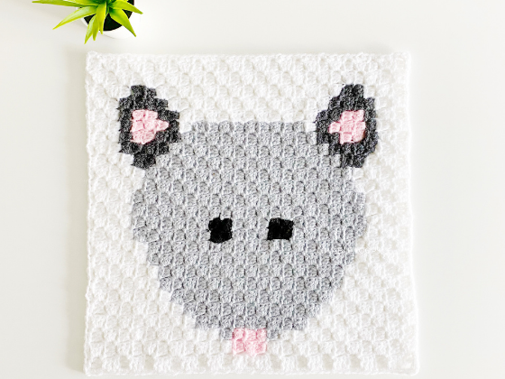 C2c Opossum