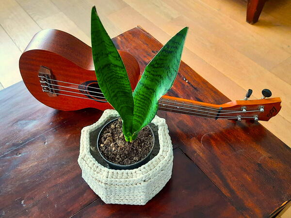 Flower Pot Make Over Flower Pot Make Over