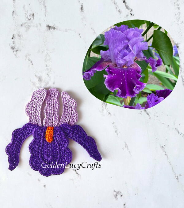 Crochet Iris Applique Crochet Iris Applique