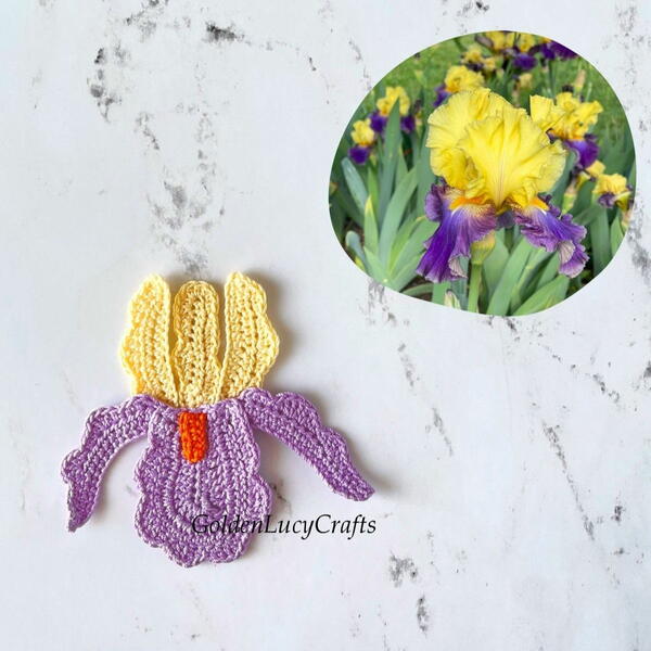 Crochet Iris Applique Crochet Iris Applique