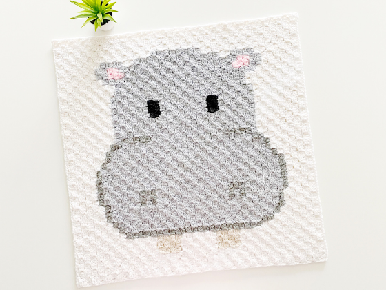 C2c Hippo C2c Hippo