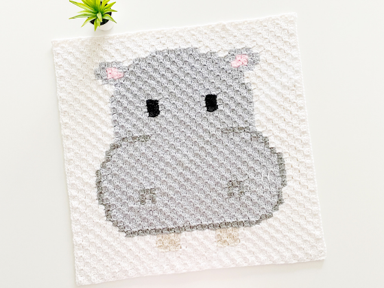 C2c Hippo