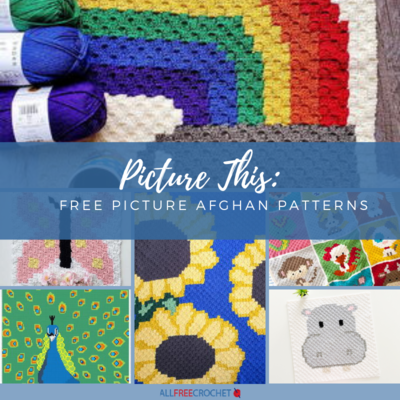 Picture This: 16 Free Picture Afghan Patterns