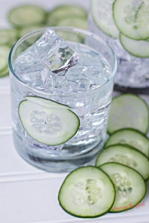 Sous Vide Cucumber Infused Gin Sous Vide Cucumber Infused Gin