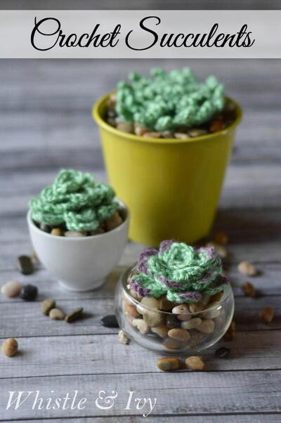 Crochet Succulents Pattern Crochet Succulents Pattern
