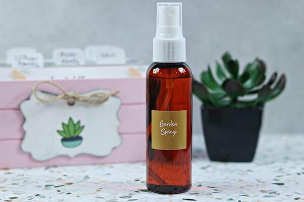 Natural Plant Spray To Repel Bugs Natural Plant Spray To Repel Bugs