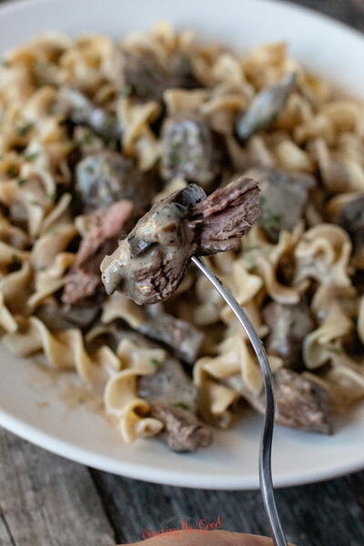 Sous Vide Beef Stroganoff Recipe
