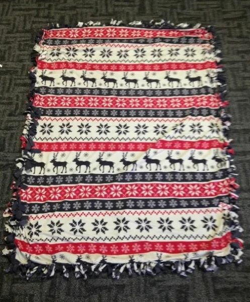 Easy No Sew Blanket Easy No Sew Blanket