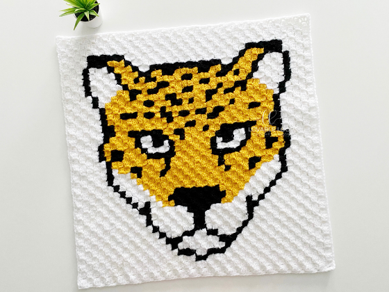 C2c Jaguar