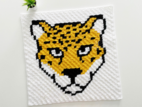 C2c Jaguar C2c Jaguar