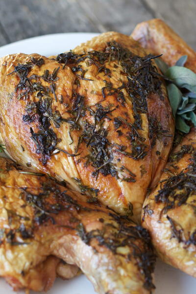 Spatchcock Turkey Recipe How To Cook A Thanksgiving Turkey Spatchcock Turkey Recipe. How To Cook A Thanksgiving Turkey.