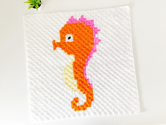 C2c Seahorse C2c Seahorse