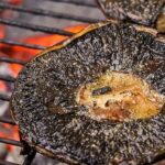 Balsamic Marinaded Portabella Mushrooms Balsamic Marinaded Portabella Mushrooms