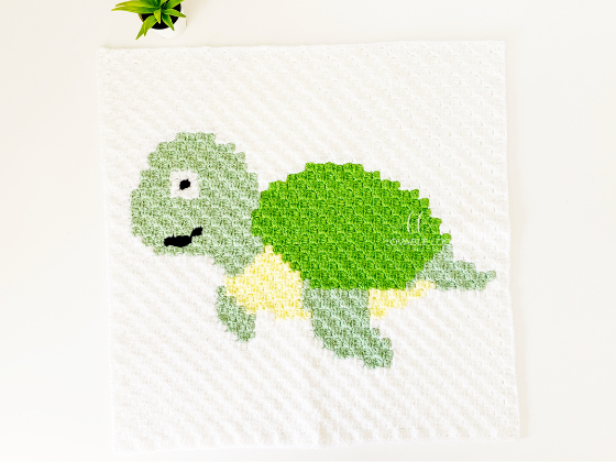 C2c Turtle C2c Turtle