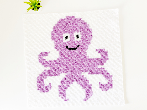 C2c Octopus