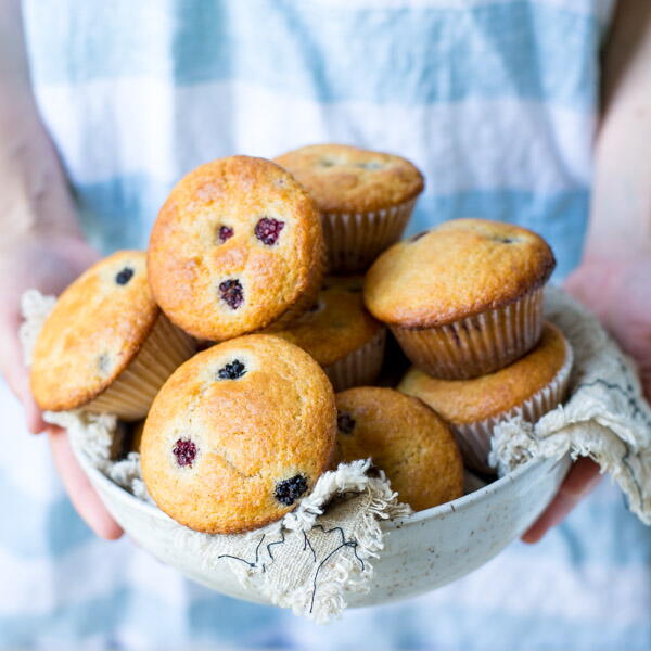 Farmhouse Blackberry Muffins Farmhouse Blackberry Muffins
