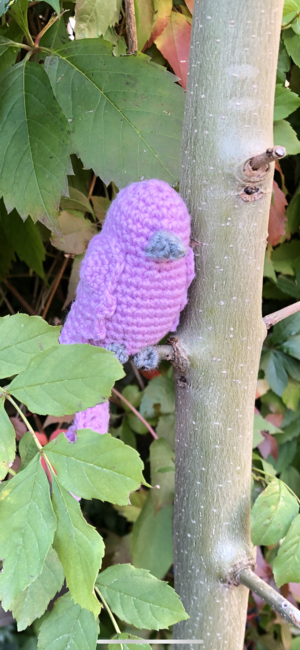 Crochet Bird Free Pattern Crochet Bird Free Pattern