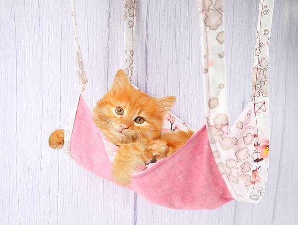 Make A Cat Hammock In 30 Minutes Make A Cat Hammock In 30 Minutes