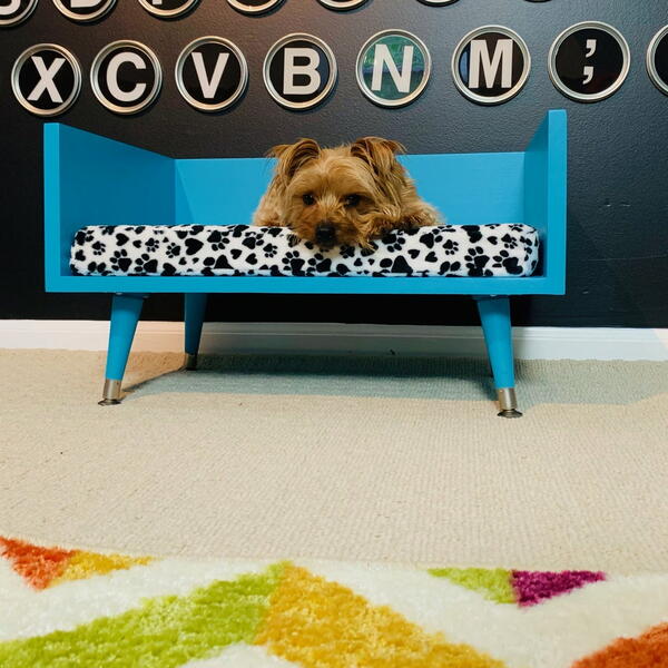 DIY Washable Dog Bed DIY Washable Dog Bed