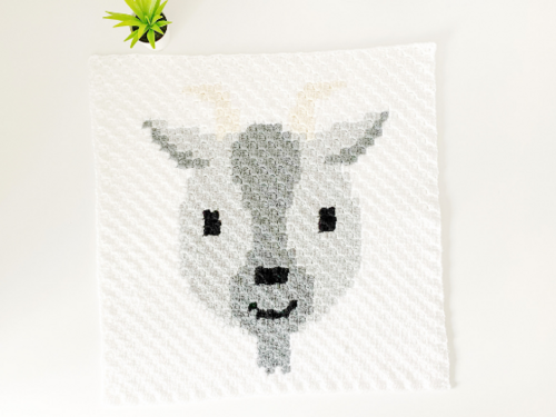 C2c Goat C2c Goat