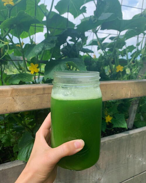 Cucumber Juice Recipe Cucumber Juice Recipe