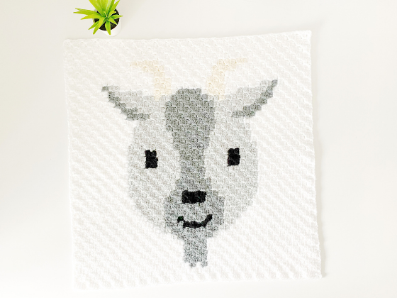 C2c Goat C2c Goat