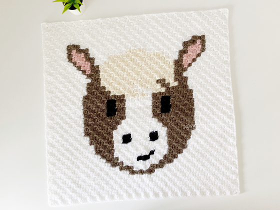 C2c Horse C2c Horse