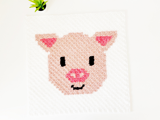 C2c Pig C2c Pig