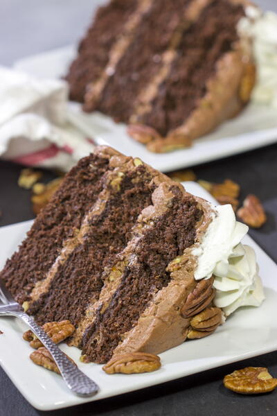 Mississippi Mud Cake Mississippi Mud Cake