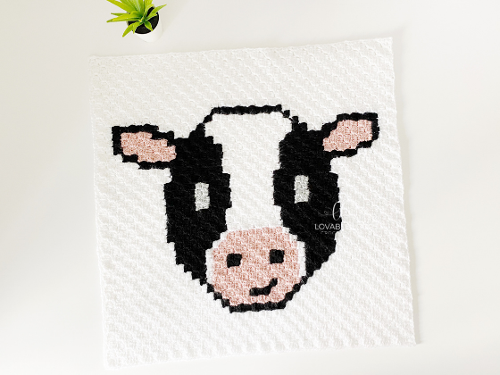 C2c Cow