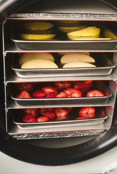 How To Freeze Dry Fruit How To Freeze Dry Fruit