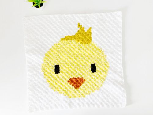 C2c Chick C2c Chick