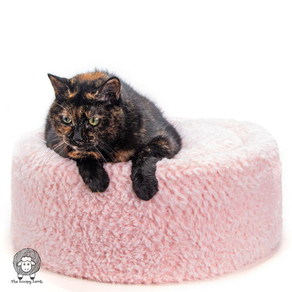 Pawsitively Cozy Crochet Cat Bed Pawsitively Cozy Crochet Cat Bed
