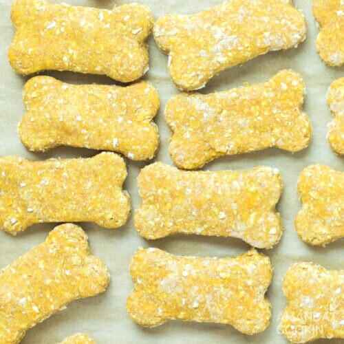 Homemade Dog Treats Homemade Dog Treats