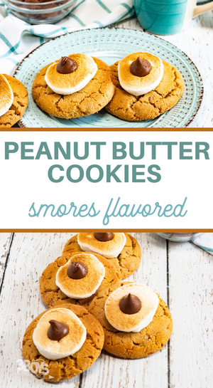 Delicious Peanut Butter Smores Cookies Delicious Peanut Butter Smores Cookies