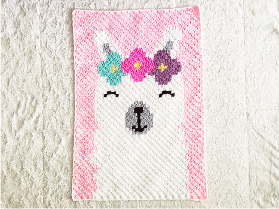 C2c Llama C2c Llama