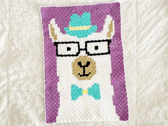 Hipster Llama Hipster Llama