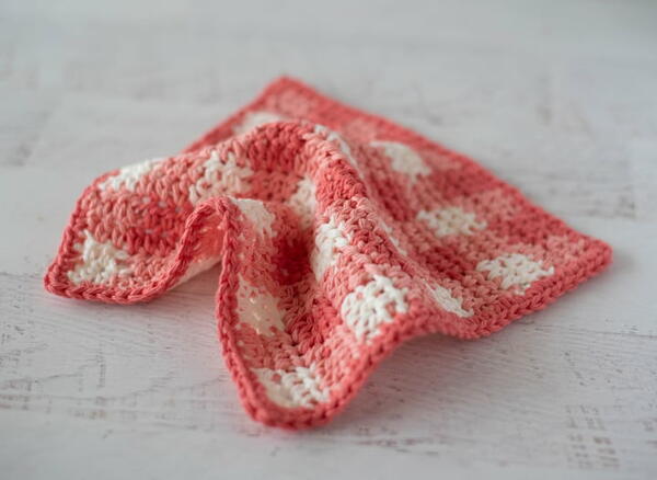 Glorious Gingham Dishcloth Glorious Gingham Dishcloth