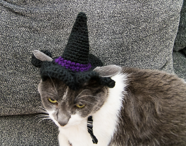 Cat Crochet Witch Hat Pattern Cat Crochet Witch Hat Pattern