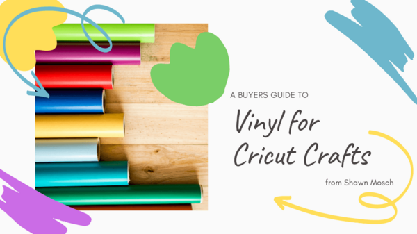 Vinyl Buyers Guide Vinyl Buyers Guide
