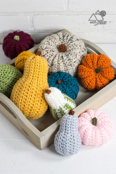 Mini Gourds And Pumpkins Mini Gourds And Pumpkins