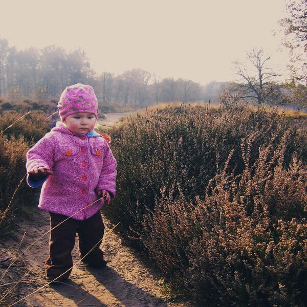 The Warmest Winter Toddler Jacket The Warmest Winter Toddler Jacket