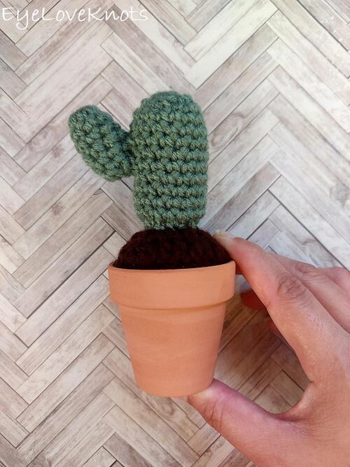 Potted Saguaro Cactus Potted Saguaro Cactus