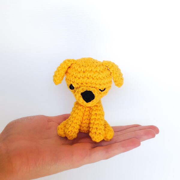 Dog lucky Golden Retriever Dog "lucky" Golden Retriever