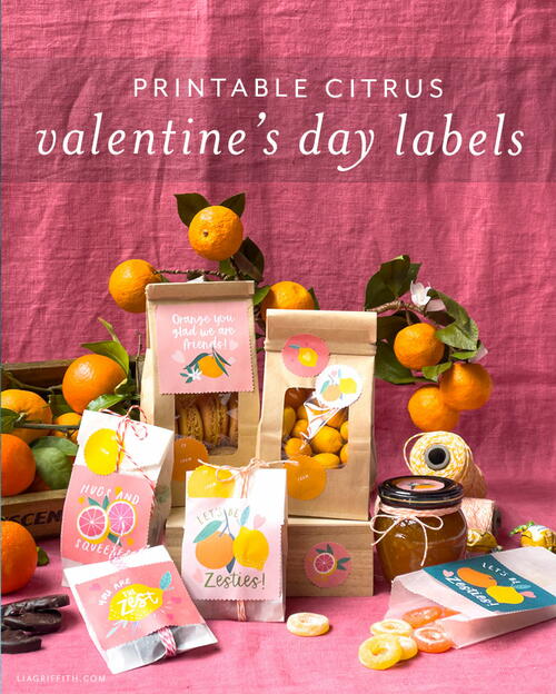 Citrus Valentines Day Labels Citrus Valentine’s Day Labels