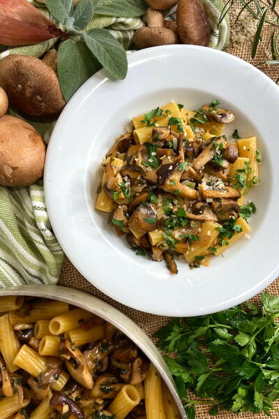 Creamy Mushroom Pasta Creamy Mushroom Pasta