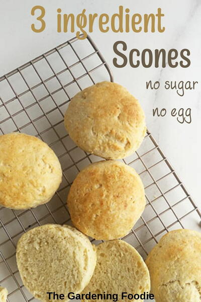 3 Ingredient Scones No Sugar No Egg 3 Ingredient Scones – No Sugar, No Egg